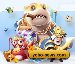 倾听yobo体育背后的故事与初心 - 体育资讯内容服务