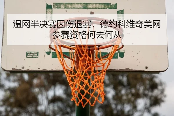 温网半决赛因伤退赛，德约科维奇美网参赛资格何去何从